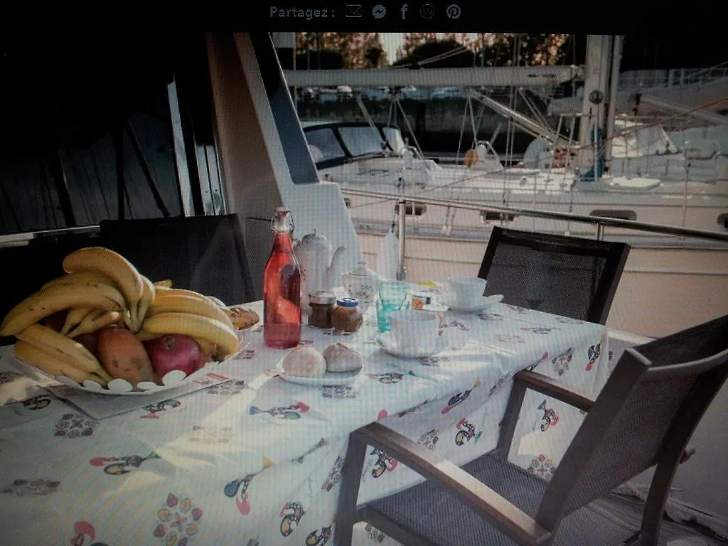 My Angelisa The Yacht Hotel Lisbon Portugal